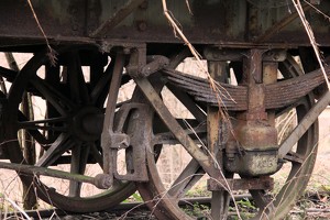 IMG 3508