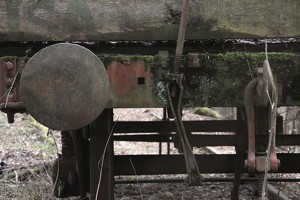 IMG 3509