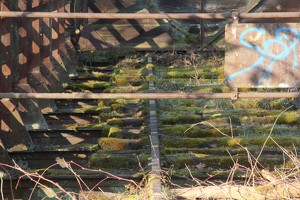 IMG 3599b