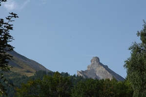 IMG 2531