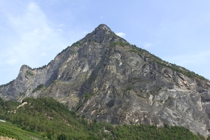 IMG 2555