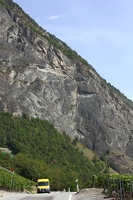 IMG 2559