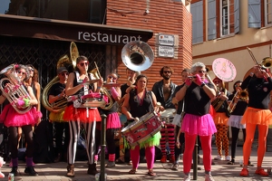 IMG 3045 hippopotame