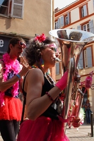 IMG 3062 hippopotame