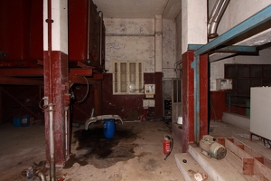 IMG 7297