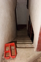 IMG 7367