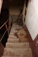 IMG 7379