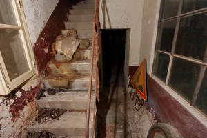 IMG 7385