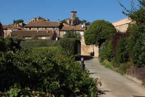 IMG 0235-G1