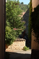 IMG 0237-G1