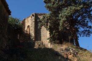 IMG 0239-G1