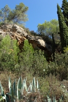 IMG 0245-G1