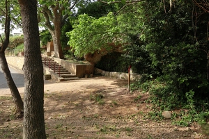 IMG 0317-G1