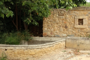 IMG 0354-G1
