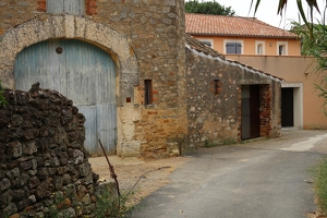 IMG 0353-G1