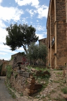 IMG 0376-G1