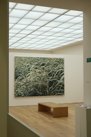 IMG 4621-G1