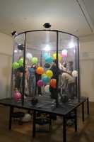 IMG 4519-G1