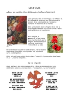 explication-3-fleurs