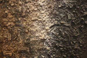 IMG 0556-G1
