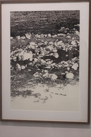 IMG 6968