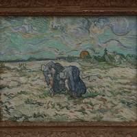 IMG 7037-G1