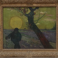 IMG 7040-G1