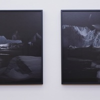IMG 8818-G1