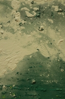 IMG 0935