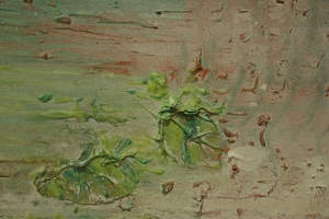 IMG 0936